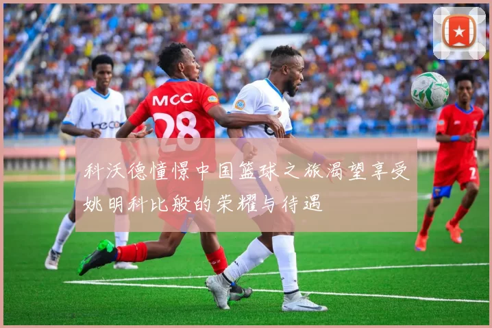 科沃德憧憬中国篮球之旅渴望享受姚明科比般的荣耀与待遇